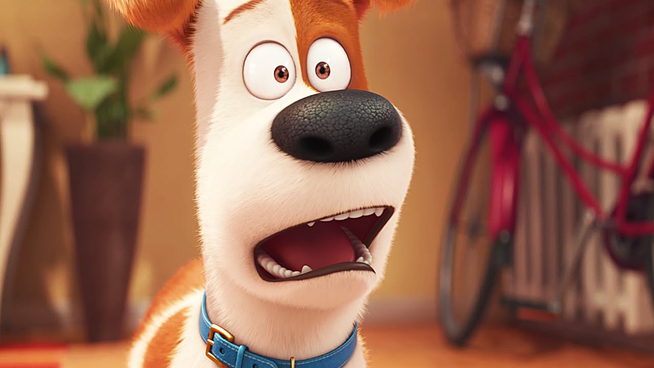 pets a vida secreta dos bichos emotions pets a vida secreta dos bichos emotions